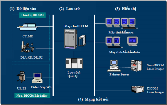 Quản lý chẩn đoán hình ảnh và thăm dò chức năng với PhanmemBenhvien.net